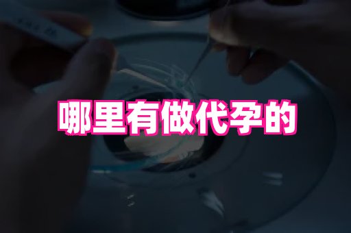 深圳助孕网站 1