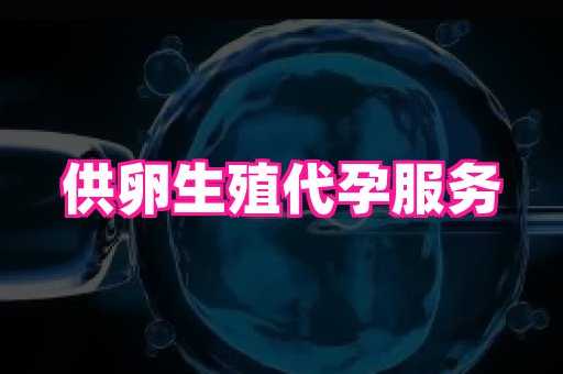 深圳助孕网站 2