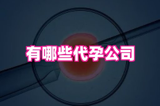 深圳助孕网站 3