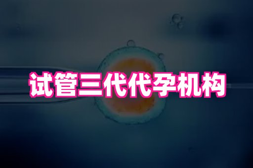 深圳助孕网站 4